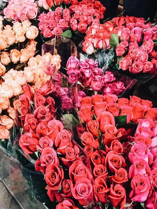 Букеты из 15 роз, фото 2