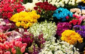 Цветы для любимой девушки