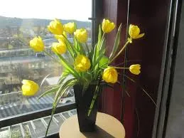 Уход за подаренными цветами Уход за подаренными цветами