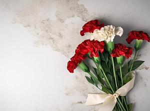 История происхождения гвоздик и интересные факты