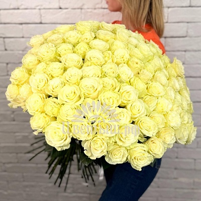 Букет 101 роза Эквадор «Mondial»