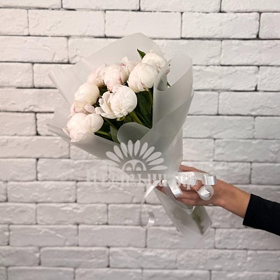 Букет 9 пионов «Amalia Olson»