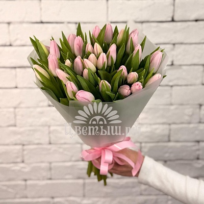 Букет 33 нежно-розовых тюльпана 