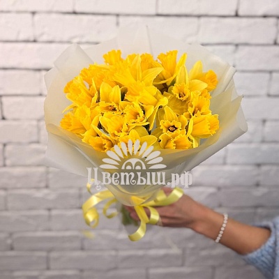 Букет из 25 желтых нарциссов