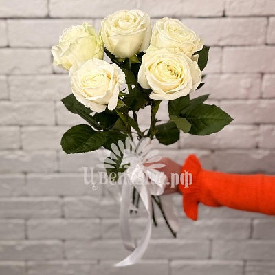 Букет 5 роз Эквадор «Playa Blanca»