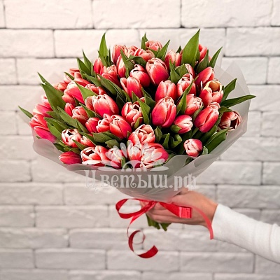 Букет 51 тюльпан «Timeless»
