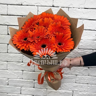 Букет 9 оранжевых гербер
