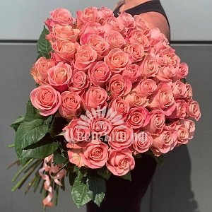 51 роза Эквадор «Hermosa» 