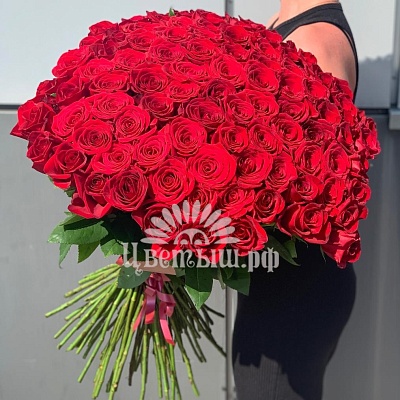 Букет 101 роза Эквадор «Freedom»