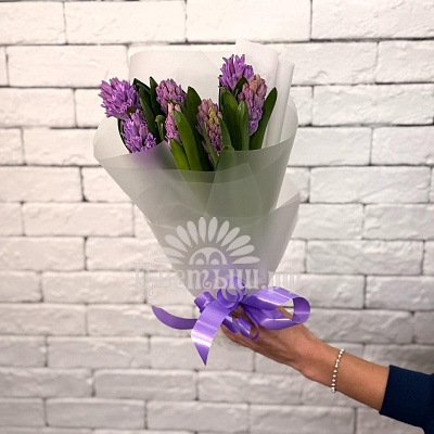 Букет 7 фиолетовых гиацинтов