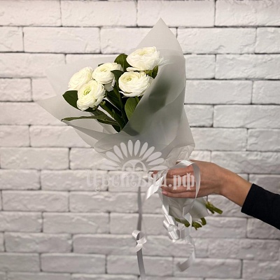 Букет из 5 белых ранункулюсов