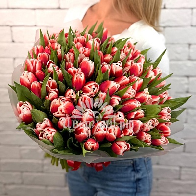 Букет 101 тюльпан «Timeless»