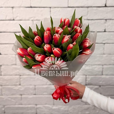Букет 33 тюльпана «Timeless»