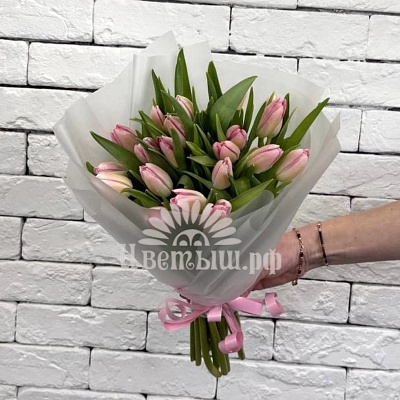 Букет 21 нежно-розовый тюльпан