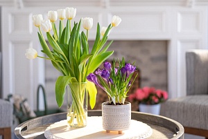 Интерьерные композиции для уюта вашего дома