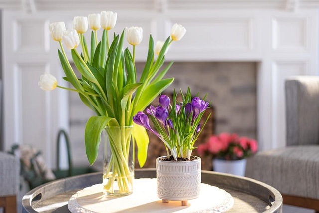 Интерьерные композиции для уюта вашего дома