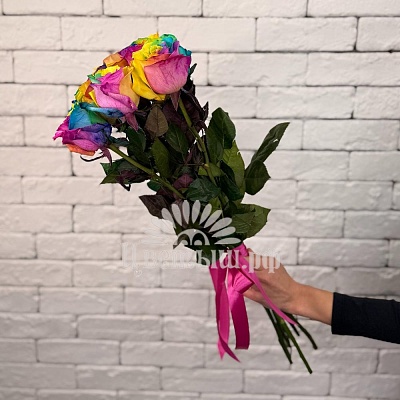 Букет 7 роз Эквадор «Rainbow»