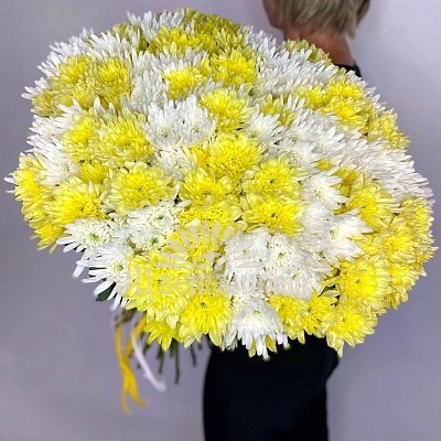 Букет «33 кустовые хризантемы желто-белый микс»