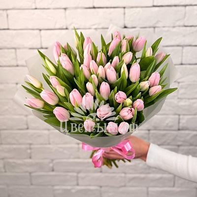 Букет 51 нежно-розовый тюльпан