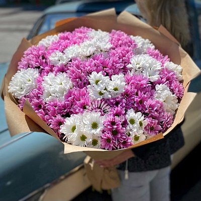 Букет «33 кустовые хризантемы микс» 