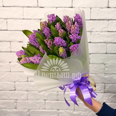 Букет 25 фиолетовых гиацинтов