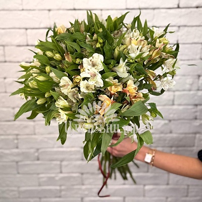 Букет 25 альстромерий