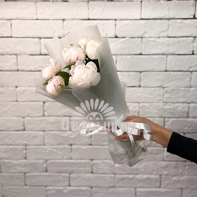 Букет 7 пионов «Amalia Olson»