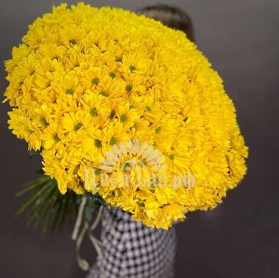 Букет «25 желтых кустовых хризантемы»