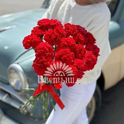 Букет 20 красных гвоздик