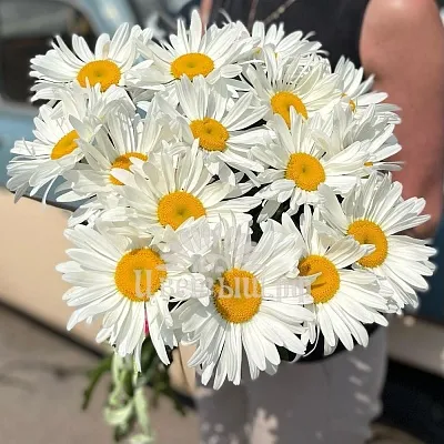 Букет 15 ромашек