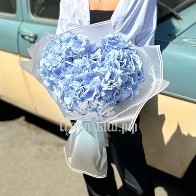 Букет 3 гортензии «Verena blue»