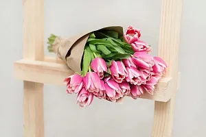 Купить Тюльпаны