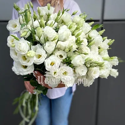Букет 25 белых эустом «Bride»