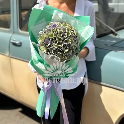Букет 1 гортензия