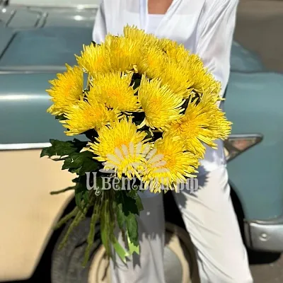 Букет 15 желтых хризантем «Peter»