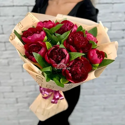 Букет 9 пионов «Red Charm»
