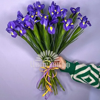 Букет 25 ирисов