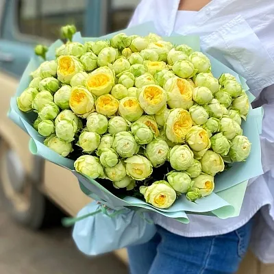 Букет 33 кустовые розы «Peony»