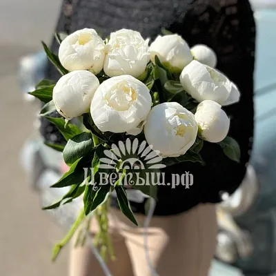 Букет 9 пионов «Duchesse»