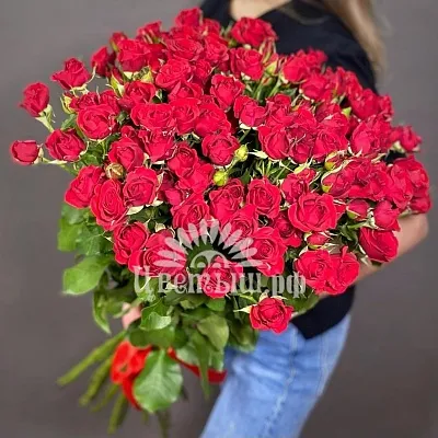 Букет 25 кустовых роз «ALLURE»