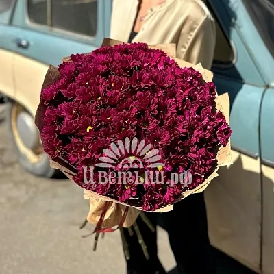 Букет 15 бордовых кустовых хризантем