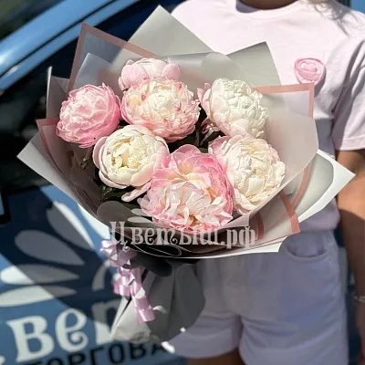 Букет 7 пионов «Gardenia»
