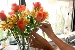 Цветы долгожители или как продлить жизнь букету