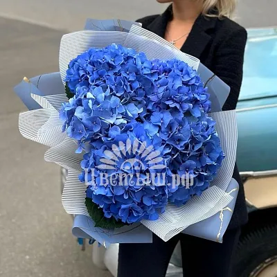 Букет 5 синих гортензий