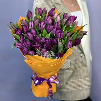 Букет 51 тюльпан «Purple»